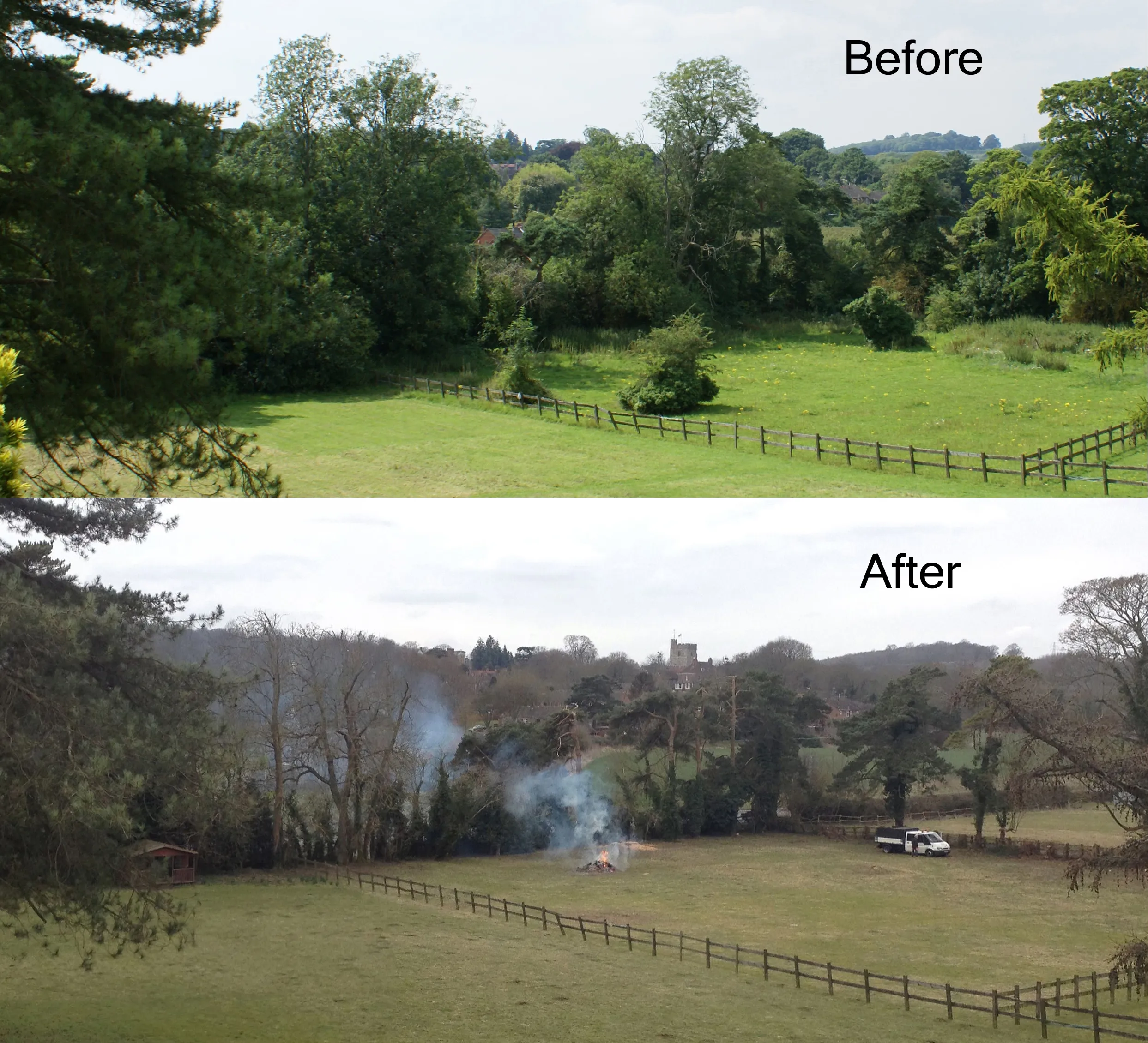 Before and after - treeline clearance